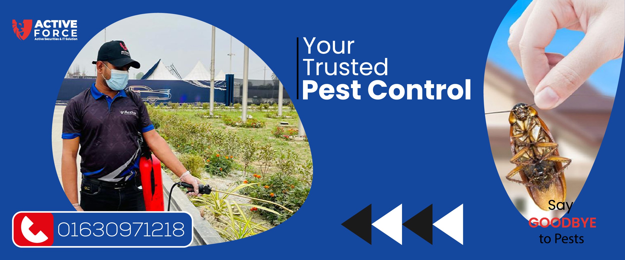 Say Goodbye to Pests! Your Trusted Pest Control Near Me